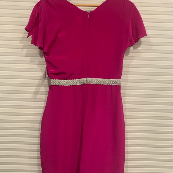 Badgley Mischka Mark & James Fuchsia Dress, Size 4 - Picture 2 of 6